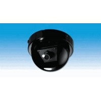 1/3" High Res. Day/Night DC-12 Volt Indoor Mini-Armordome / 600 Lines